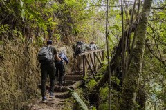Trekking-portada