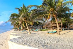 diani-1